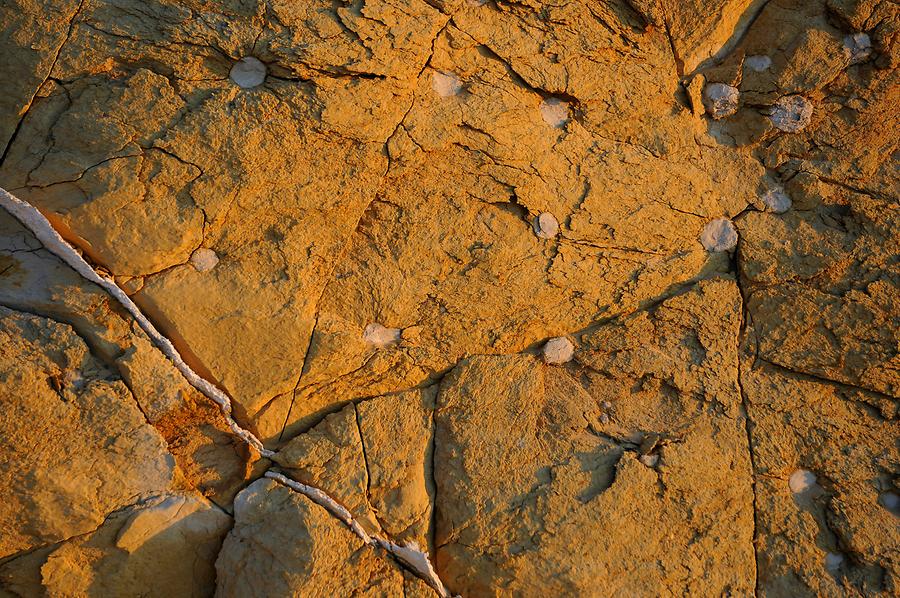 Desert near Al-Qasr - Rock