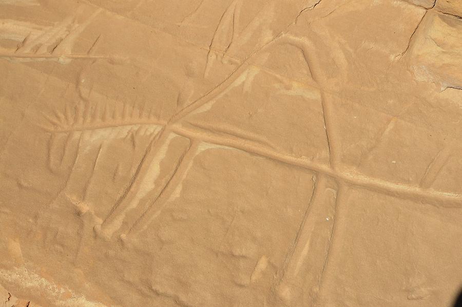 Petroglyphs near Teneida