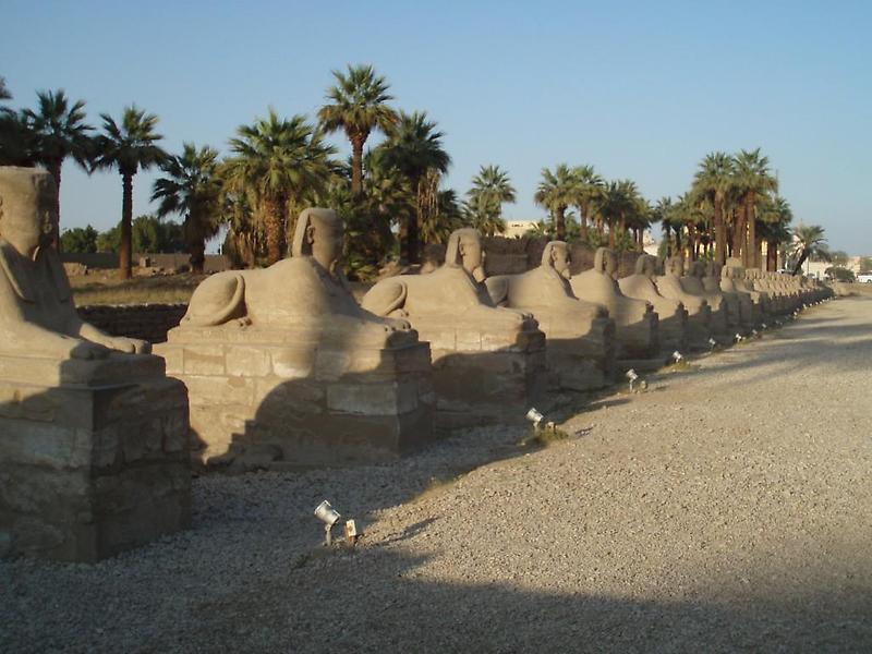 Avenue of Sphinxes, Luxor (2)