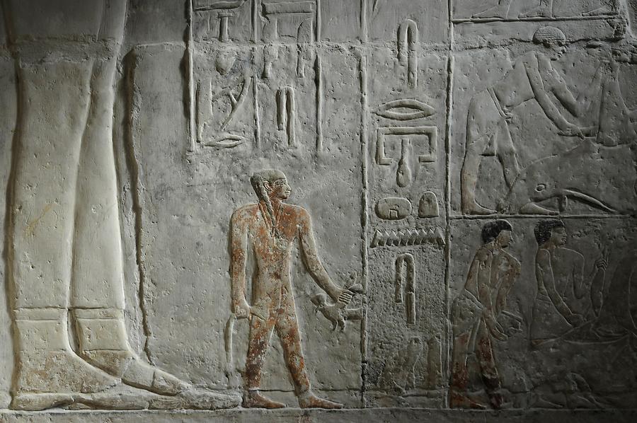 Saqqara - Mastaba of Mereruka; Relief