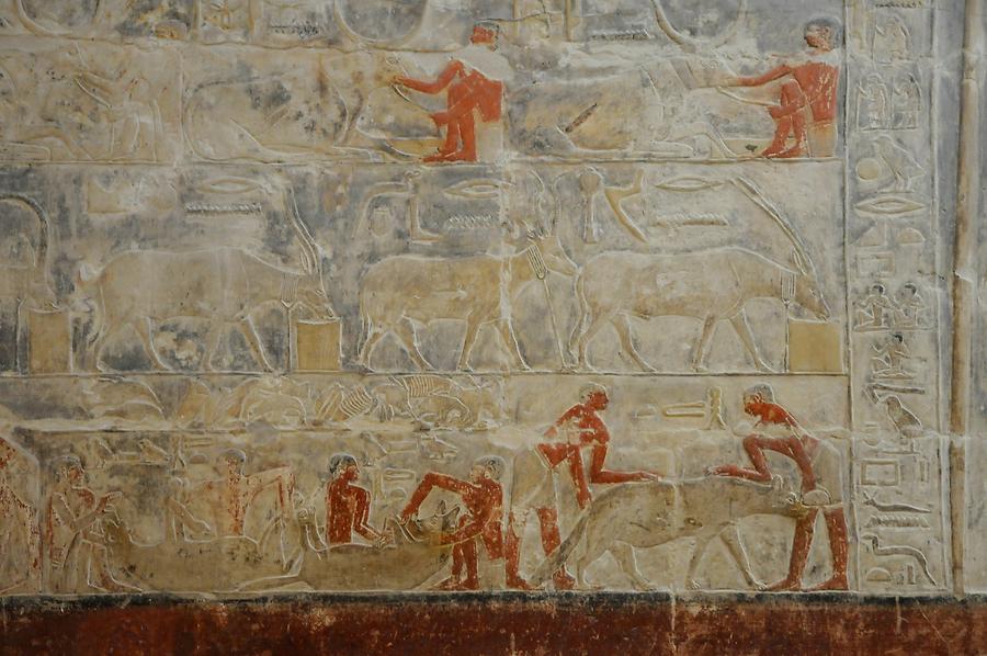 Saqqara - Mastaba of Mereruka; Relief