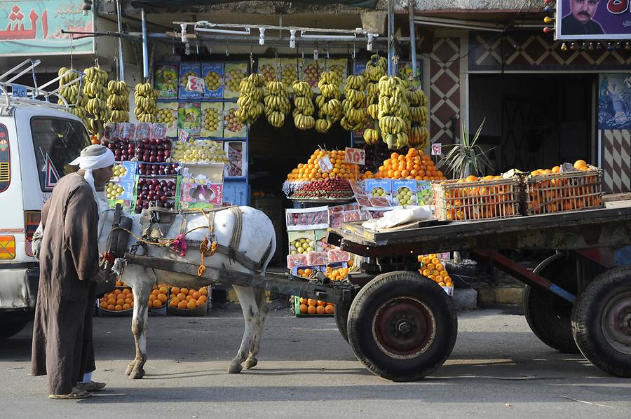 Fruit Stand