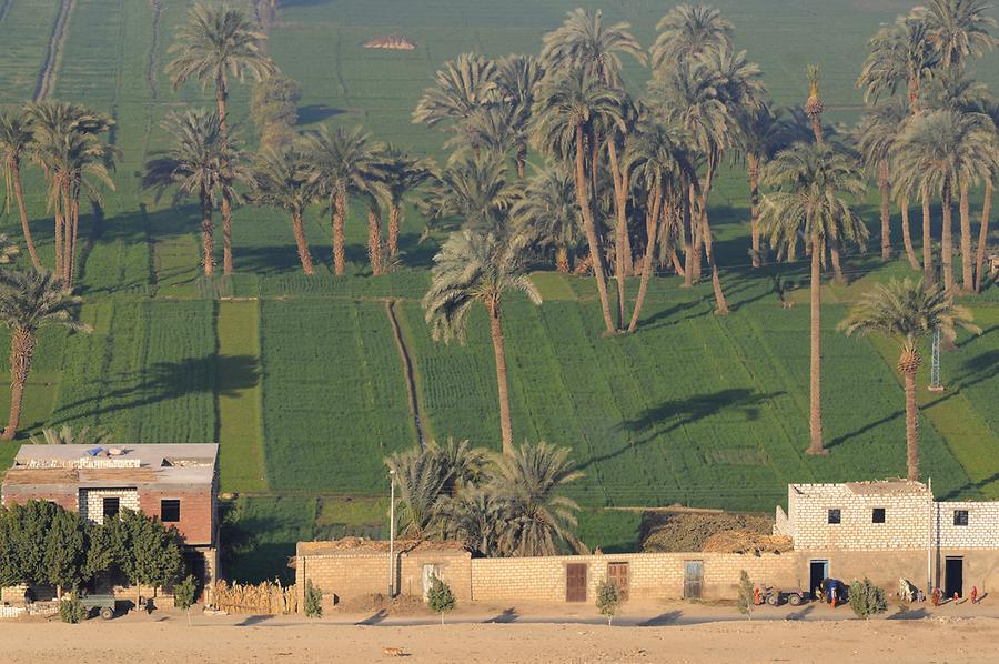 Nile Valley near Beni Hassan