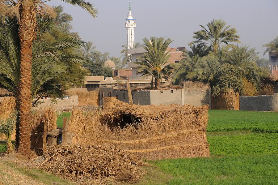 Oasis near Dendera