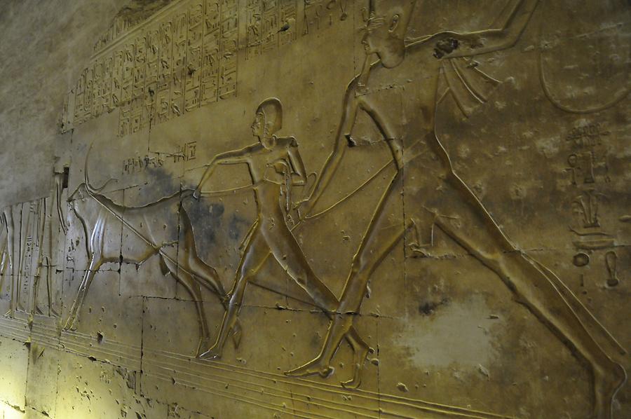 Reliefs, Temple of Abydos