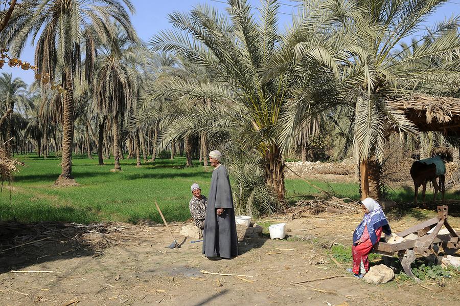 Village near Amarna