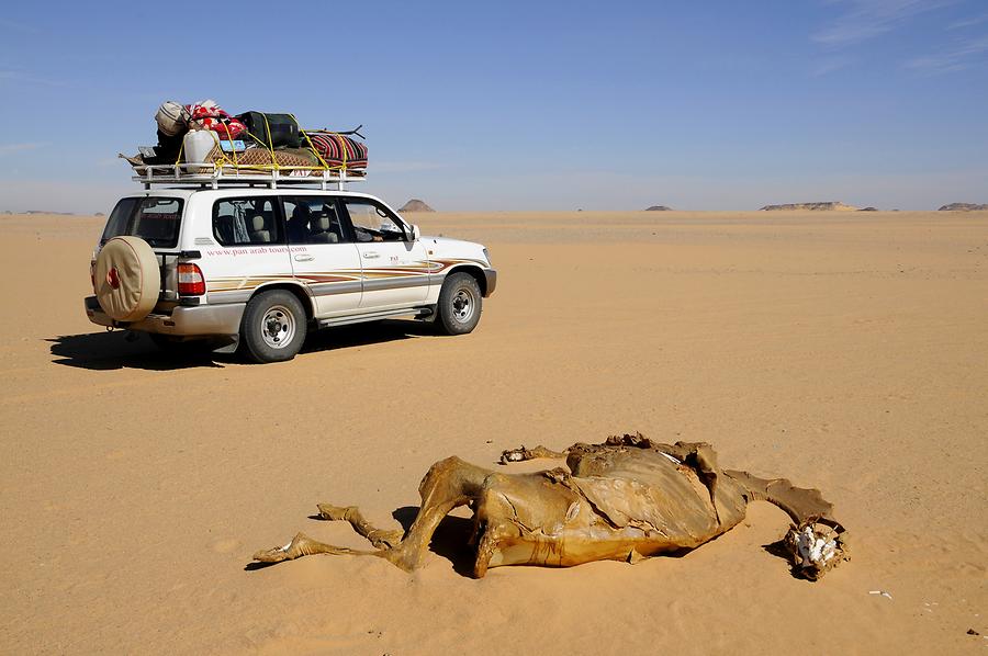 Desert near Bir Kiseiba - Bad Luck