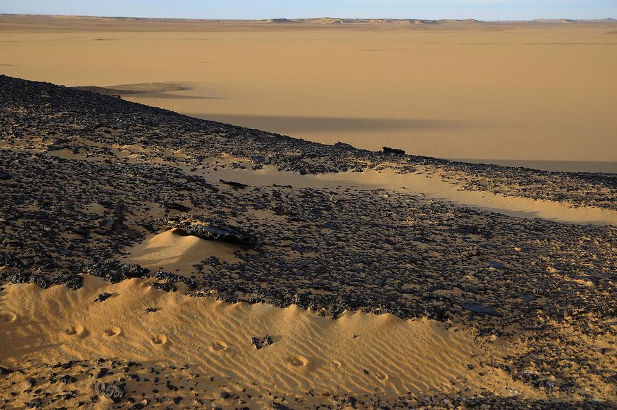 Desert near Bir Kiseiba - Lava Rocks