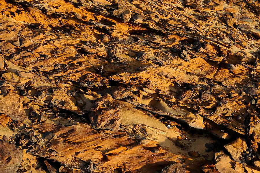 Desert near Bir Kiseiba - Lava Rocks