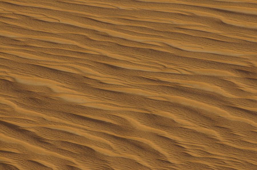 Desert near Bir Kiseiba - Ripple Marks