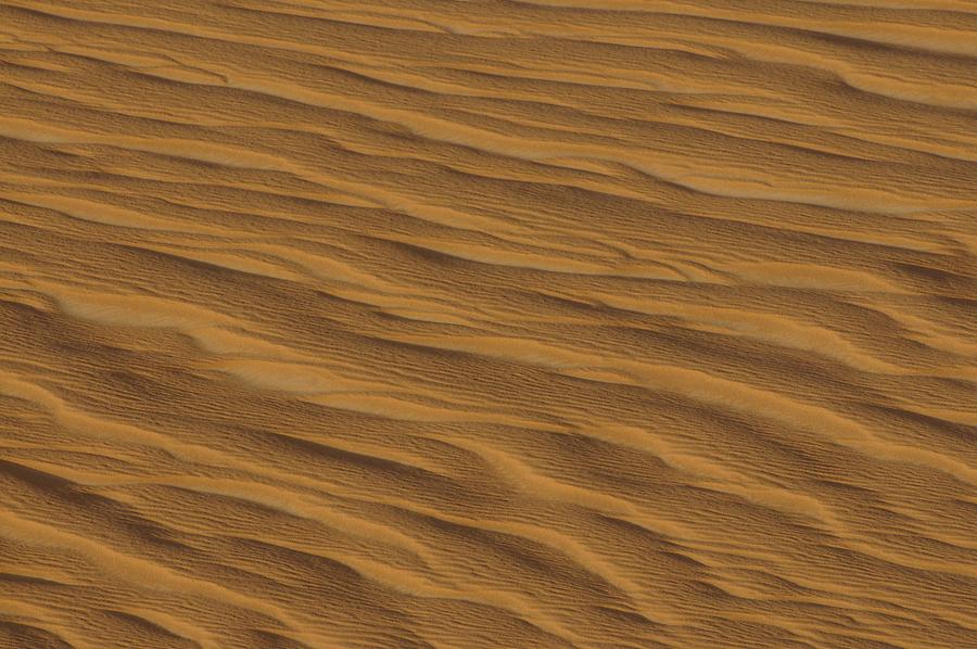 Desert near Bir Kiseiba - Ripple Marks