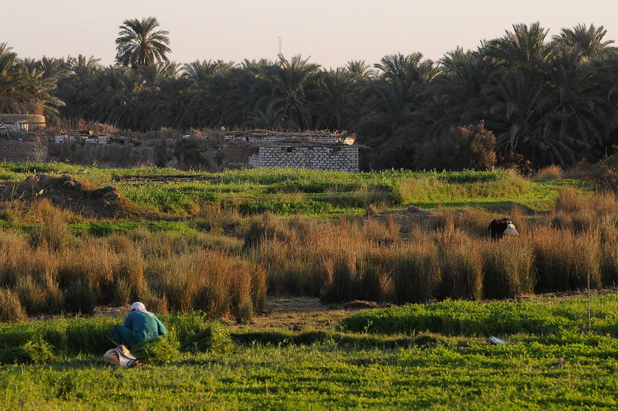 Adobe Village Kharga - Oasis