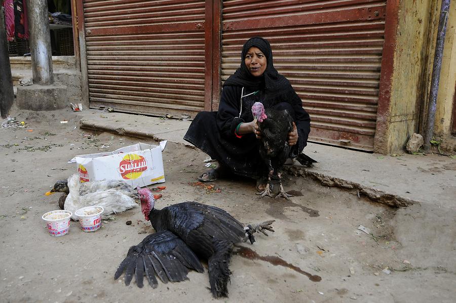 Luxor - Market