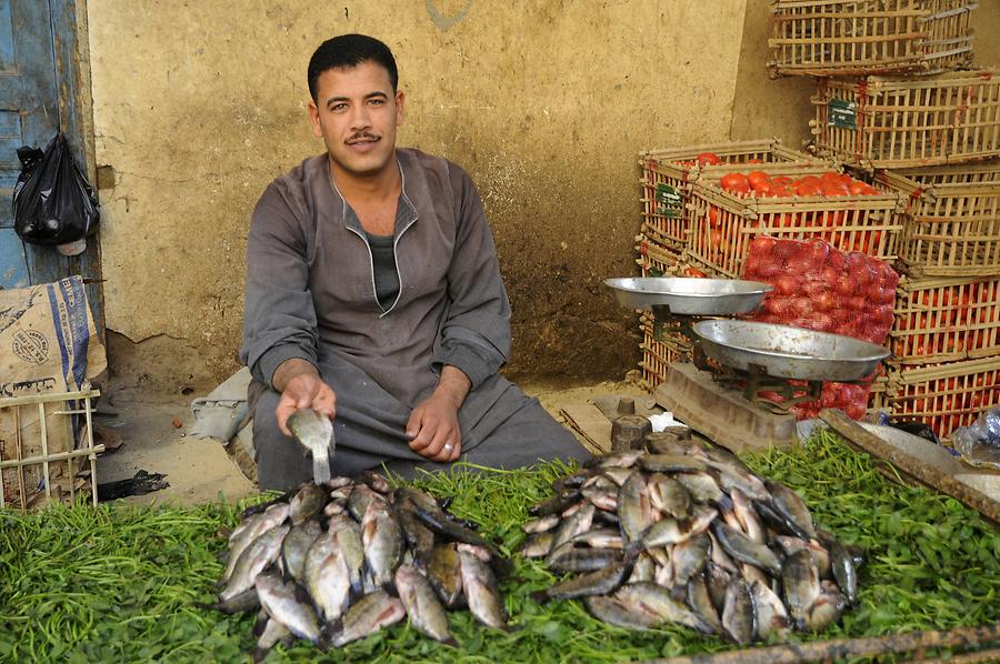 Luxor - Market