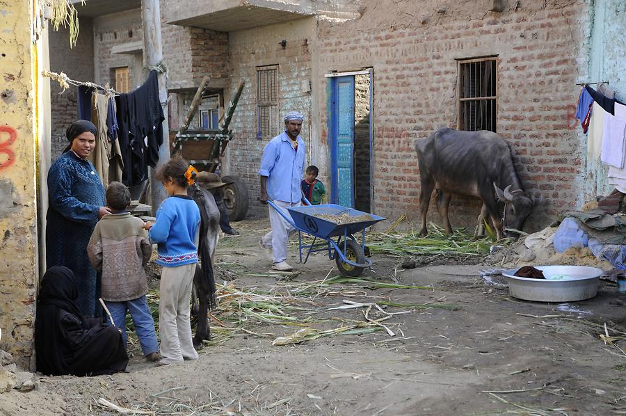 Luxor - Village Life