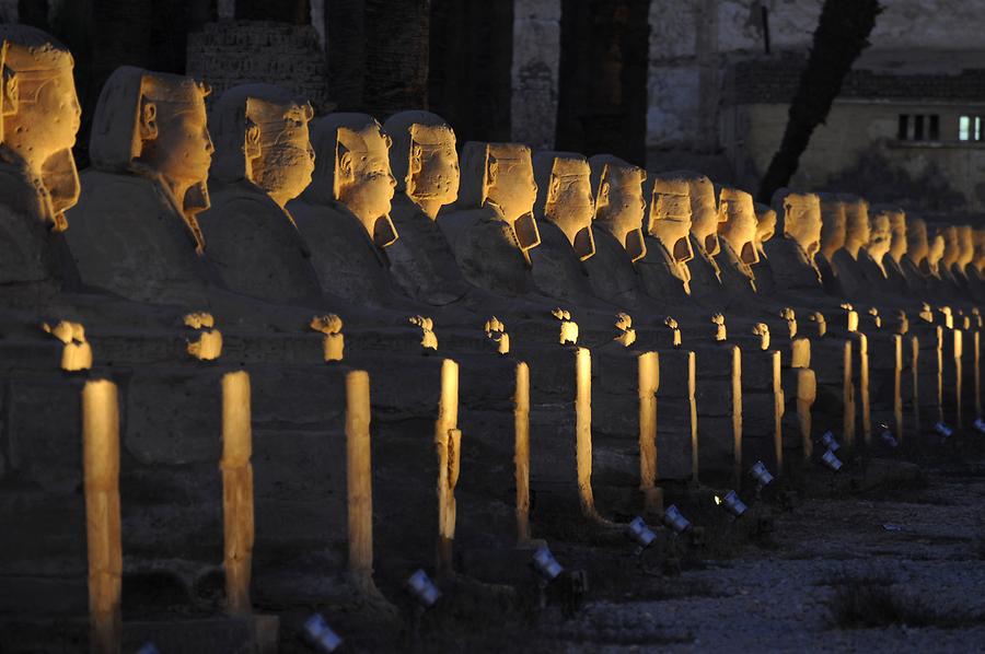 Luxor Temple Complex - Avenue of Sphinxes