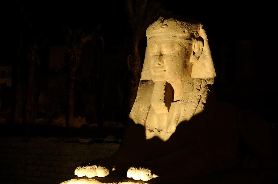 Luxor Temple Complex - Avenue of Sphinxes; Detail