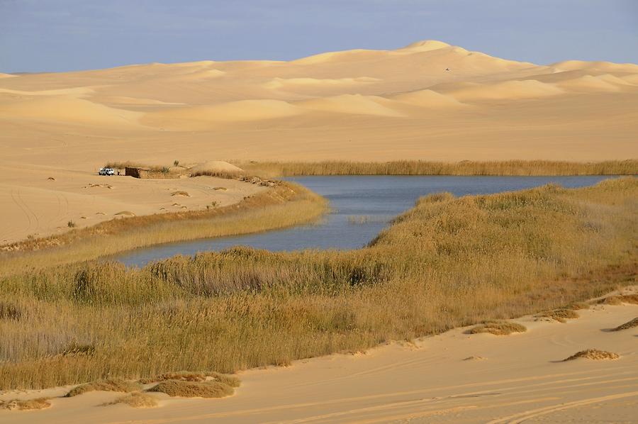 Libyan Desert - Freshwater Lake