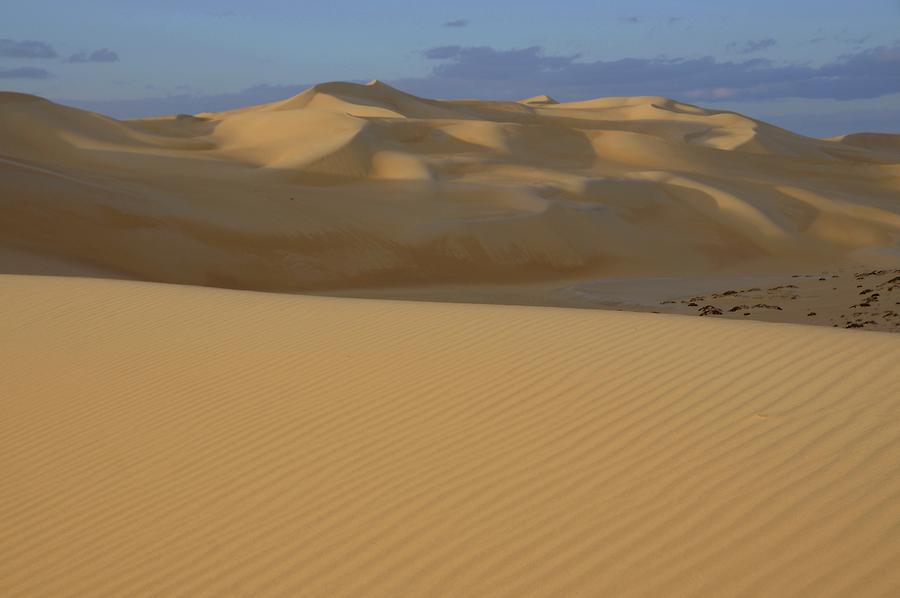 Libyan Desert