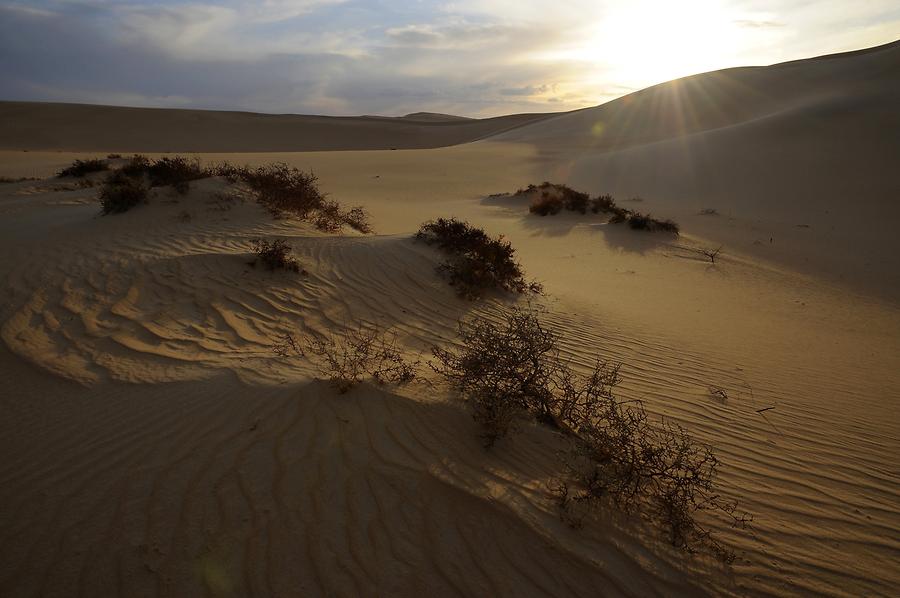 Libyan Desert