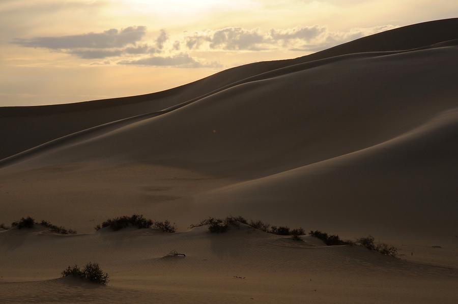 Libyan Desert