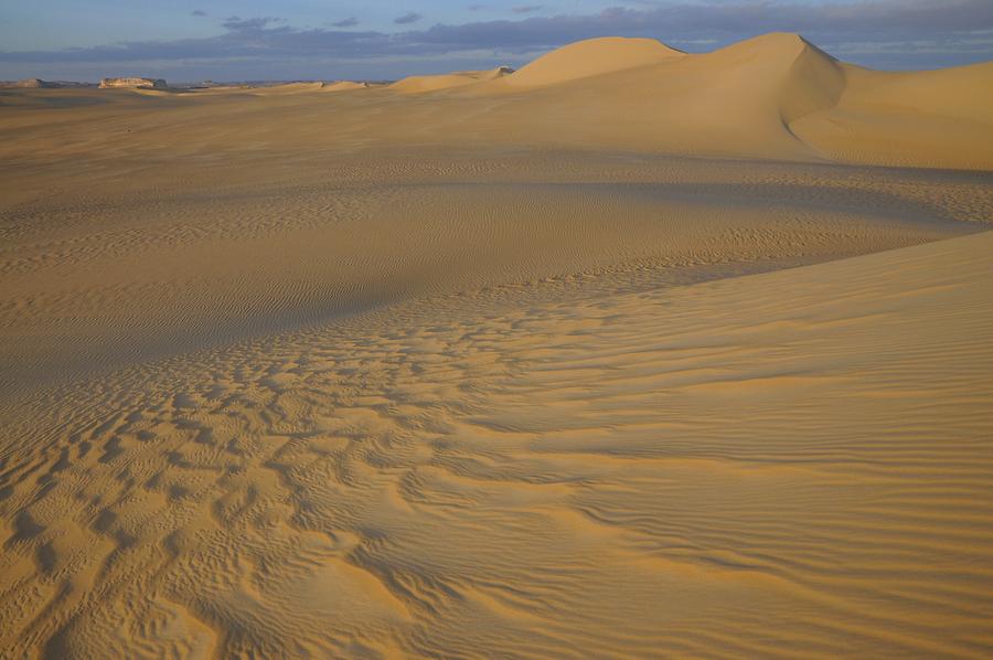 Libyan Desert