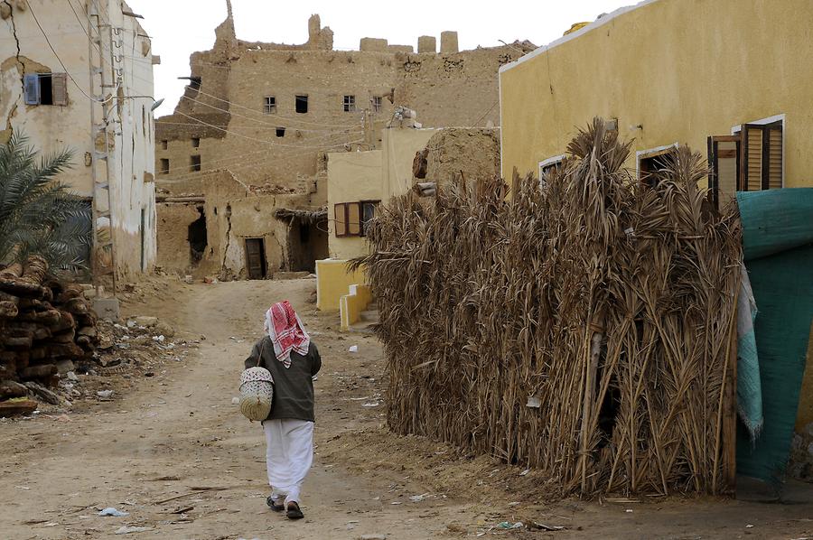 Siwa Oasis - Ruins of Shali