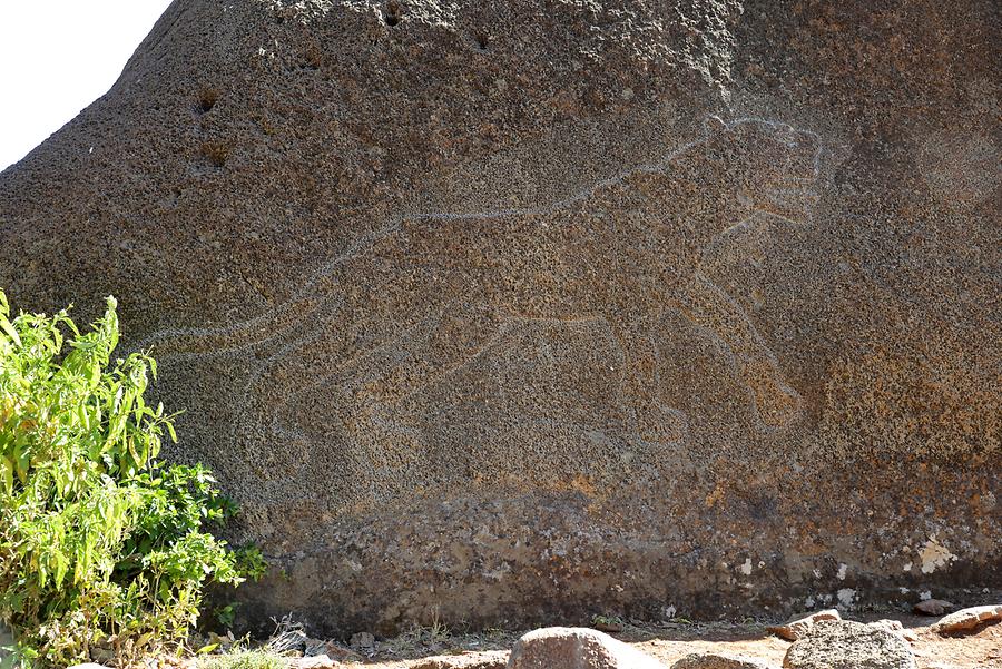 Lioness of Gobedra