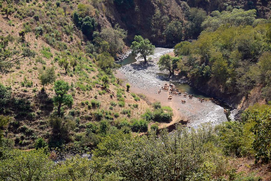 Simien Mountains