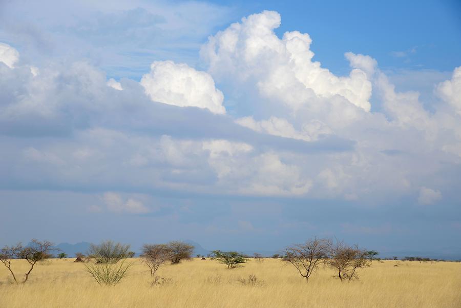 Awash National Park