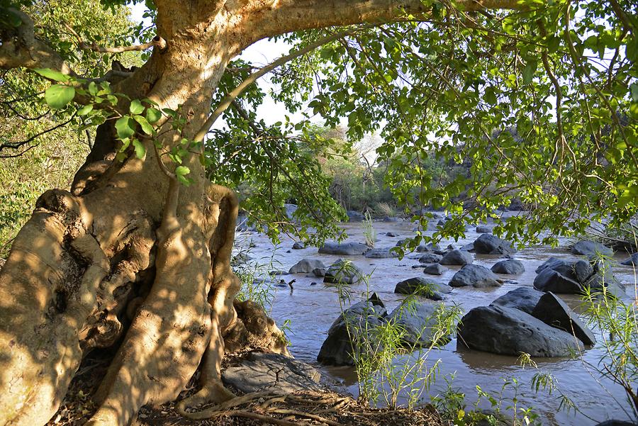 Awash River - Canyon