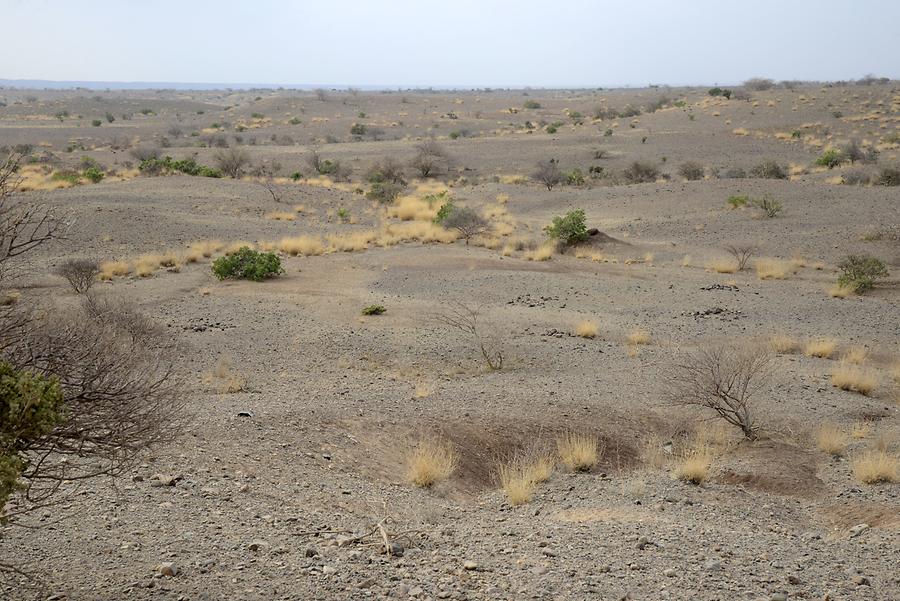 Danakil Depression