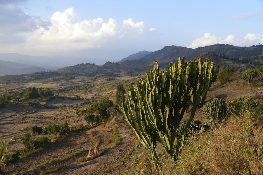 Landscape near Geta