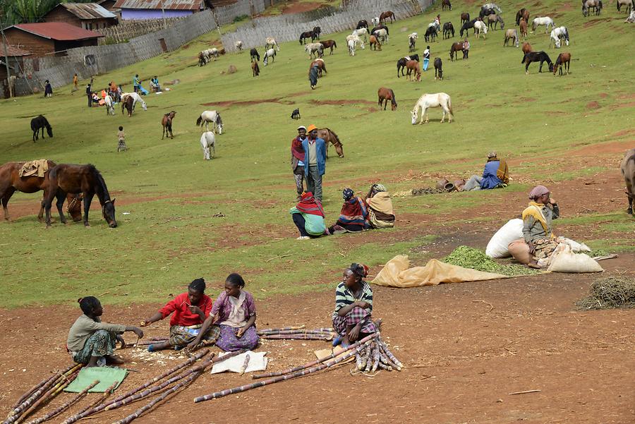 Chencha - Market