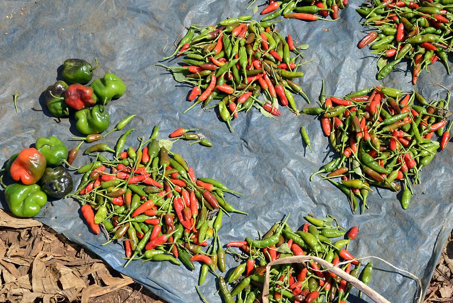 Chencha - Market; Chilies