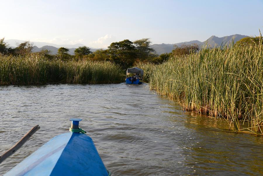 Lake Chamo - Boat Trip