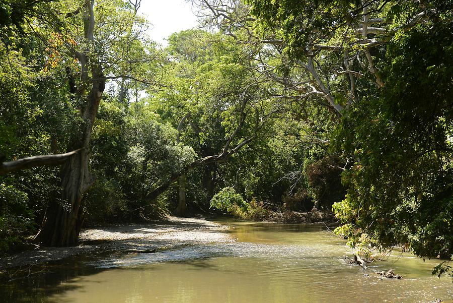 Nechisar National Park