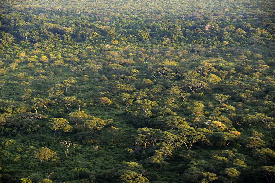 Nechisar National Park