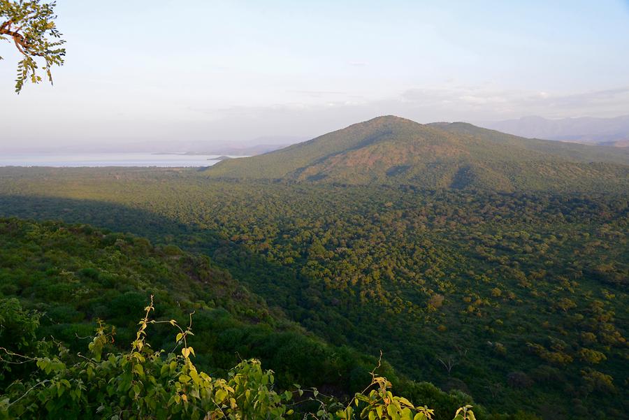 Nechisar National Park