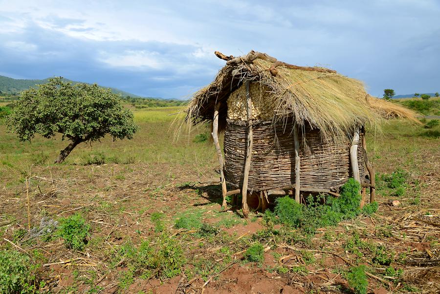 Corn Barn