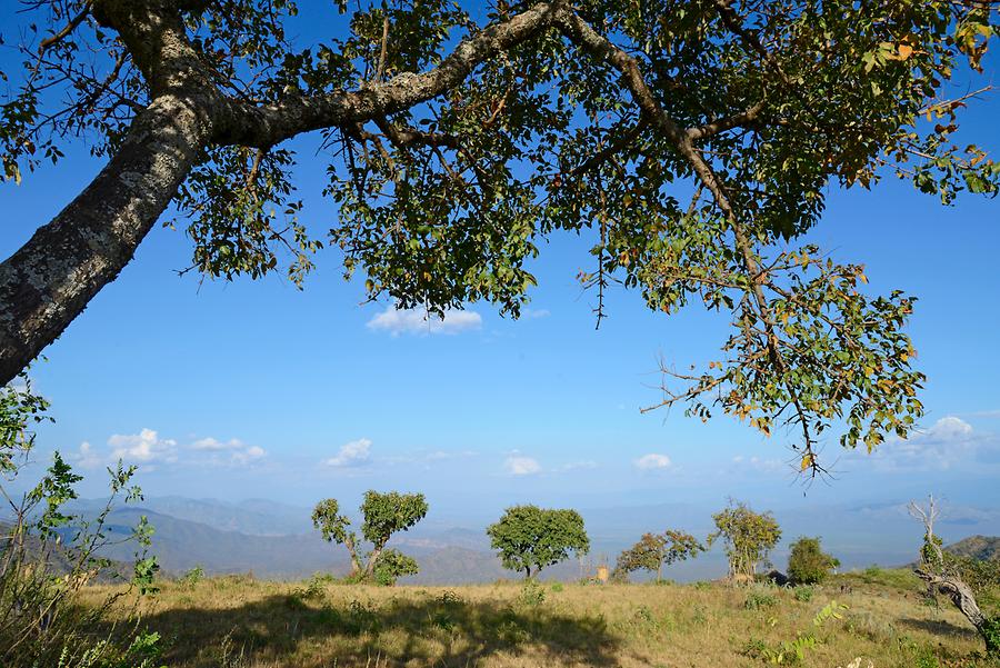 Landscape near Jinka