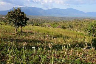 Landscape near Jinka (2)