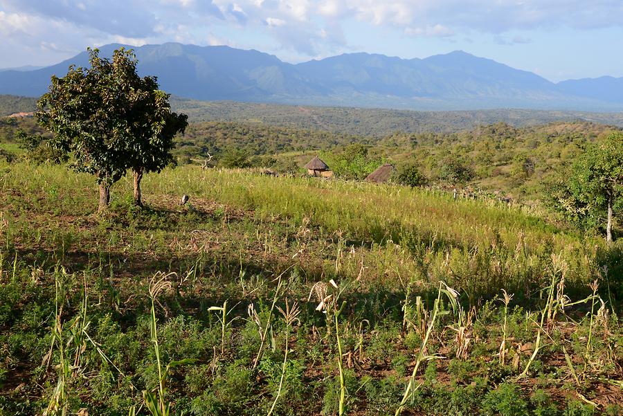 Landscape near Jinka