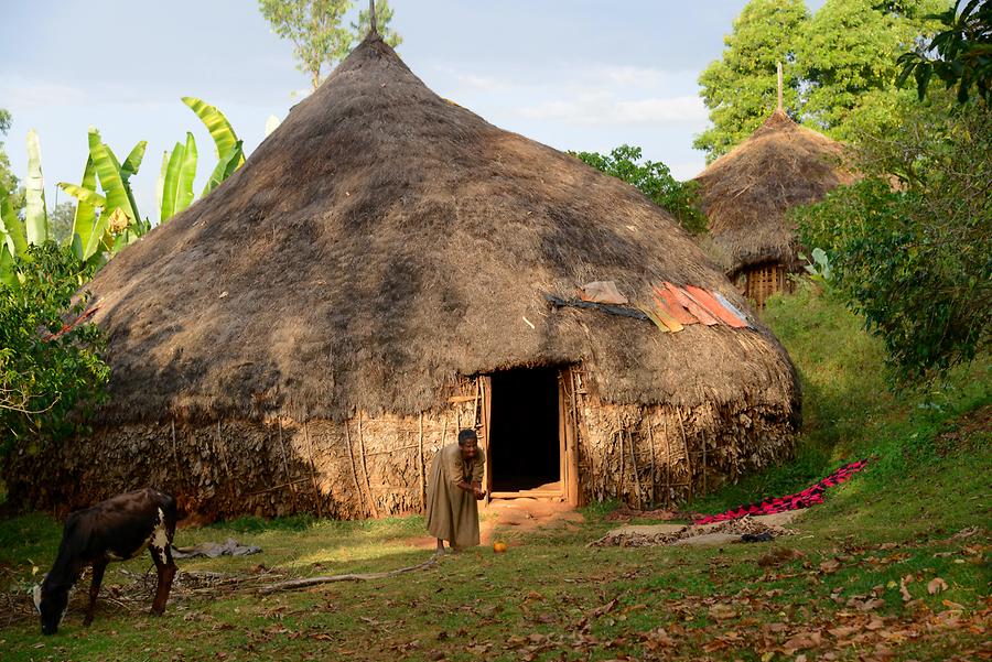 Sidama People - Hut