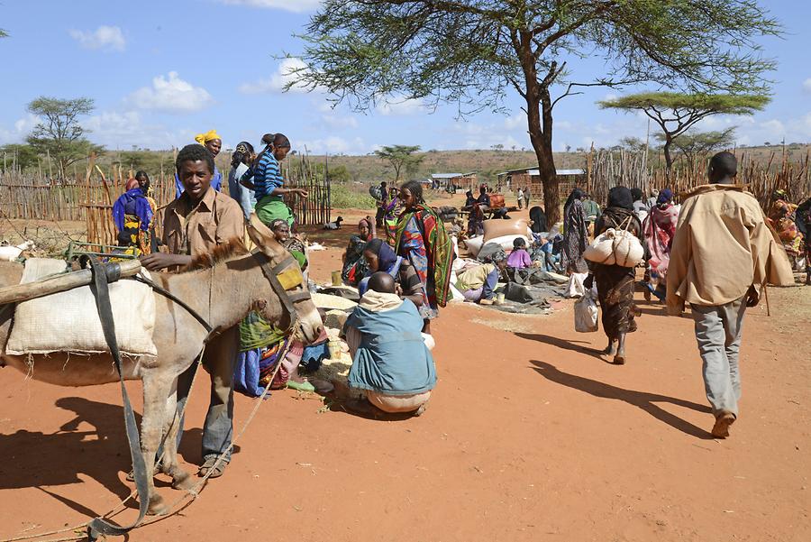 Yabello - Market