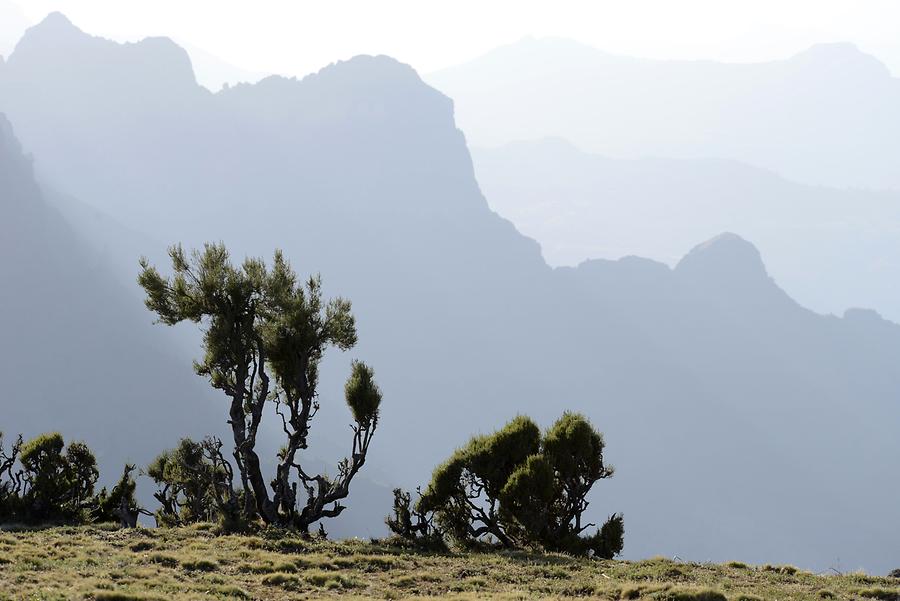 Simien Mountains National Park