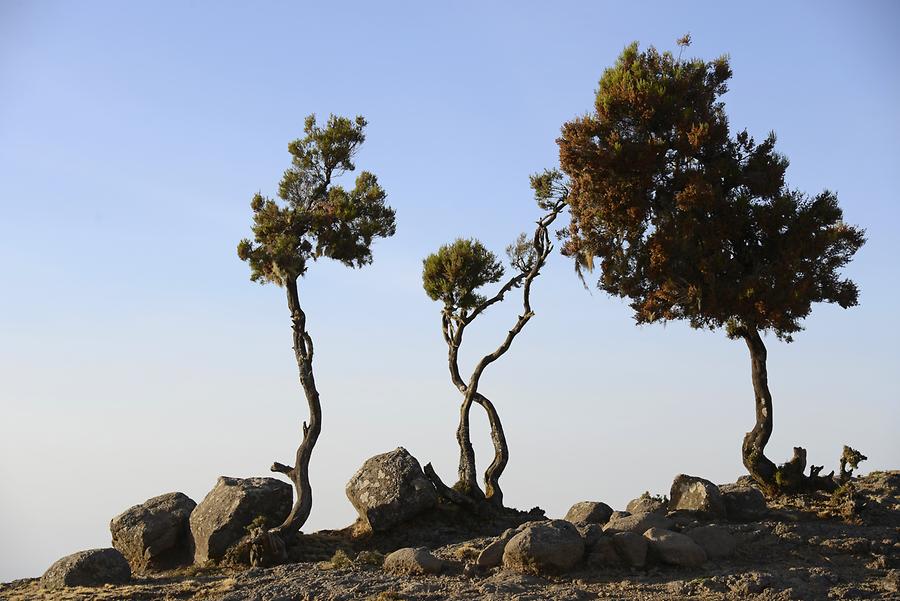 Simien Mountains National Park