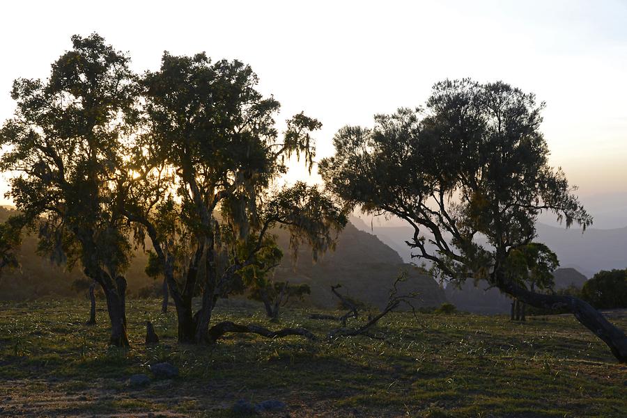 Simien Mountains National Park - Sunset