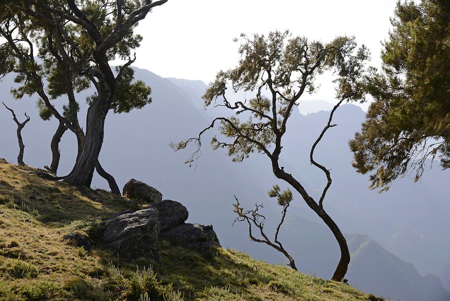 Simien Mountains National Park