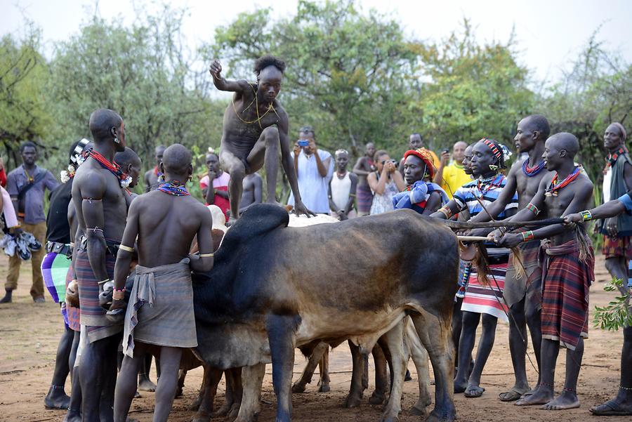 Bull-jumping Ceremony